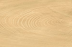 vtwonen Woodcirkle Oak 20x120 cm