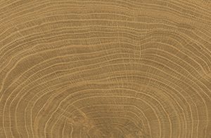 vtwonen Woodcirkle Walnutt 20x120 cm