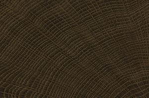 vtwonen Woodcirkle Wenge 20x120 cm